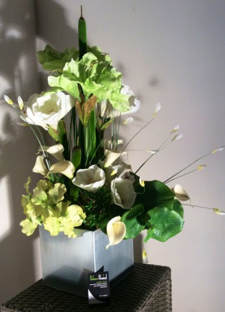 amaryllis arums orchidée 